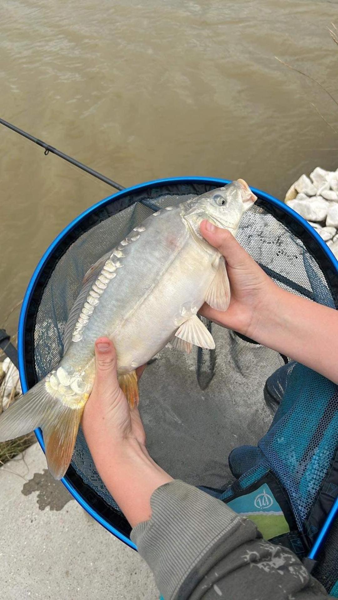 בוסטון Lakeside Fishing Retreats חדר תמונה