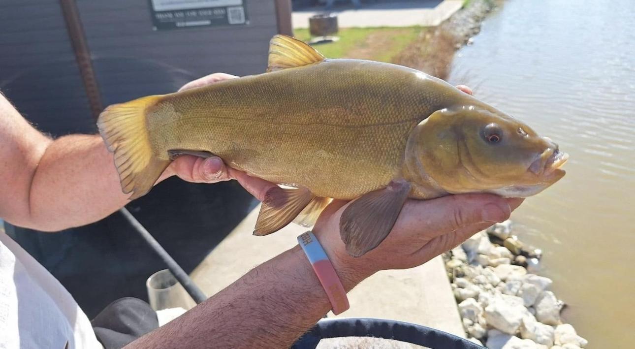 בוסטון Lakeside Fishing Retreats חדר תמונה