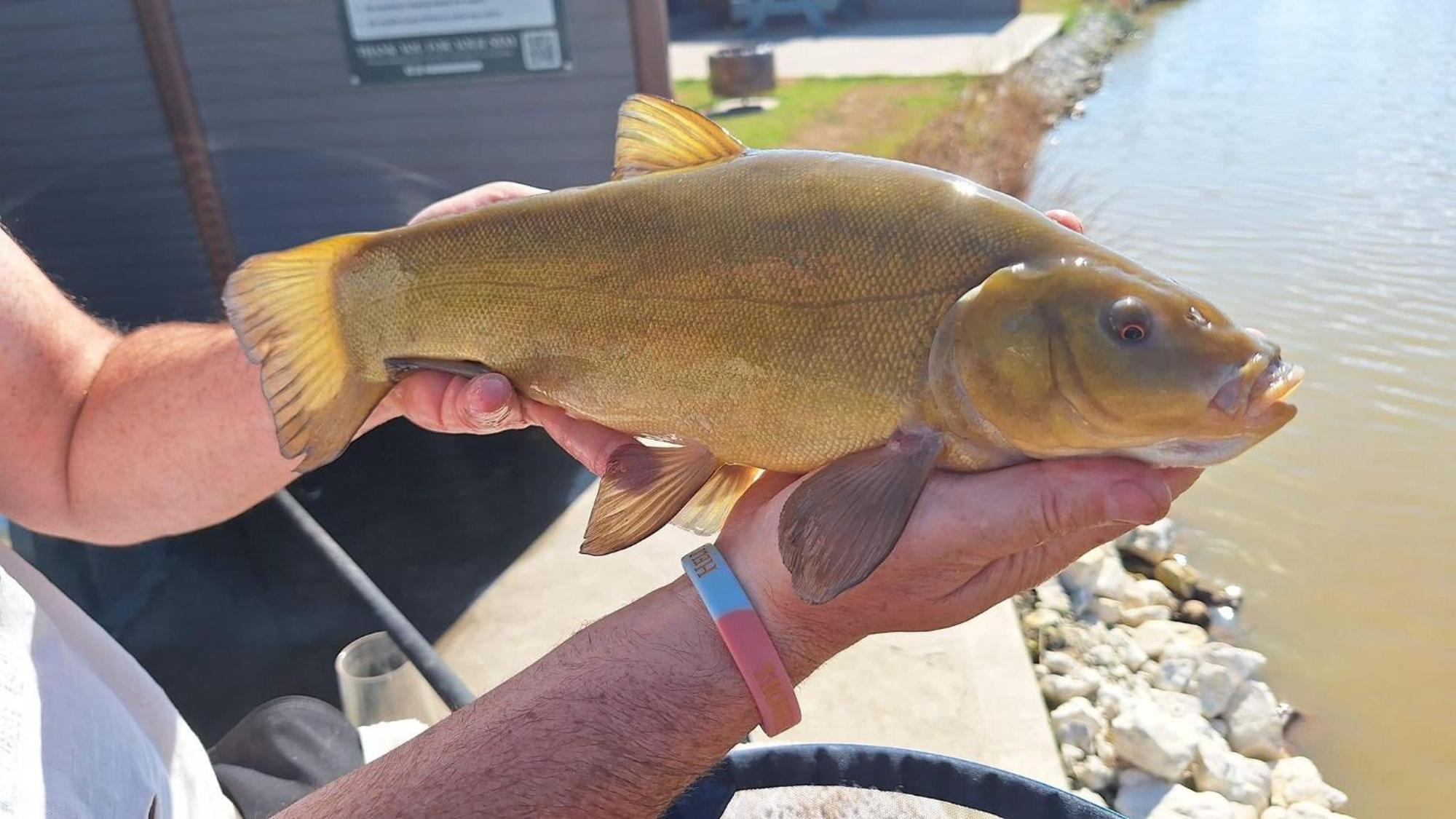 בוסטון Lakeside Fishing Retreats חדר תמונה