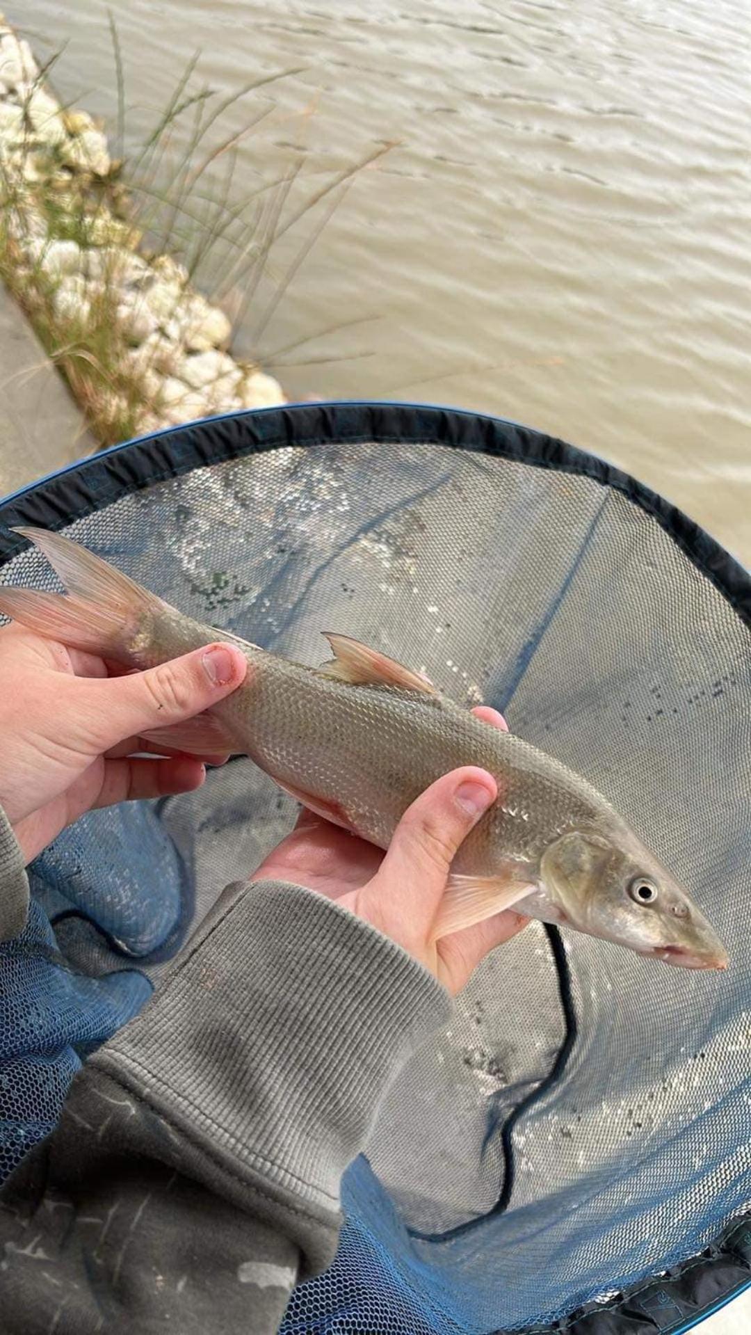 בוסטון Lakeside Fishing Retreats חדר תמונה