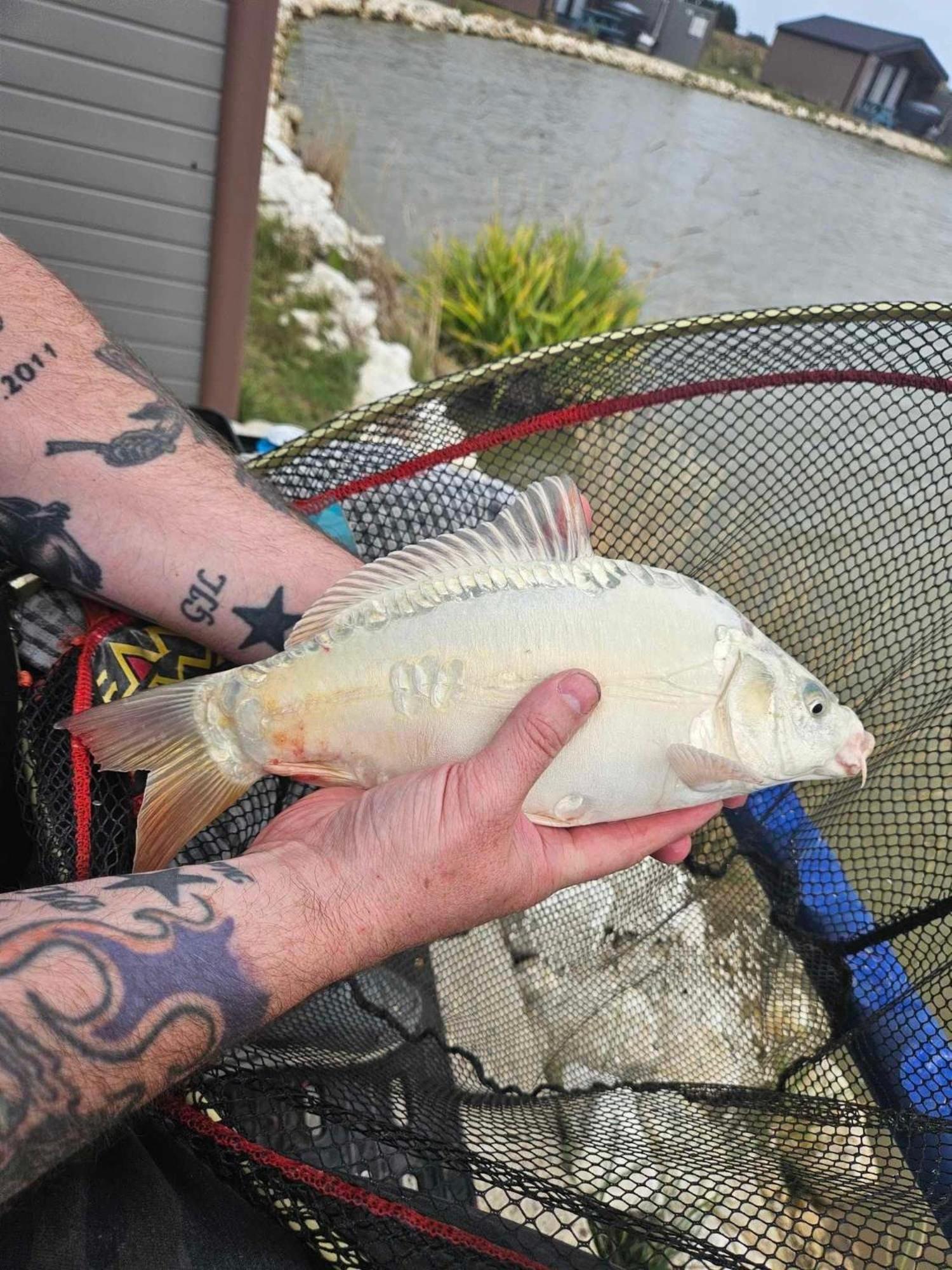 בוסטון Lakeside Fishing Retreats חדר תמונה