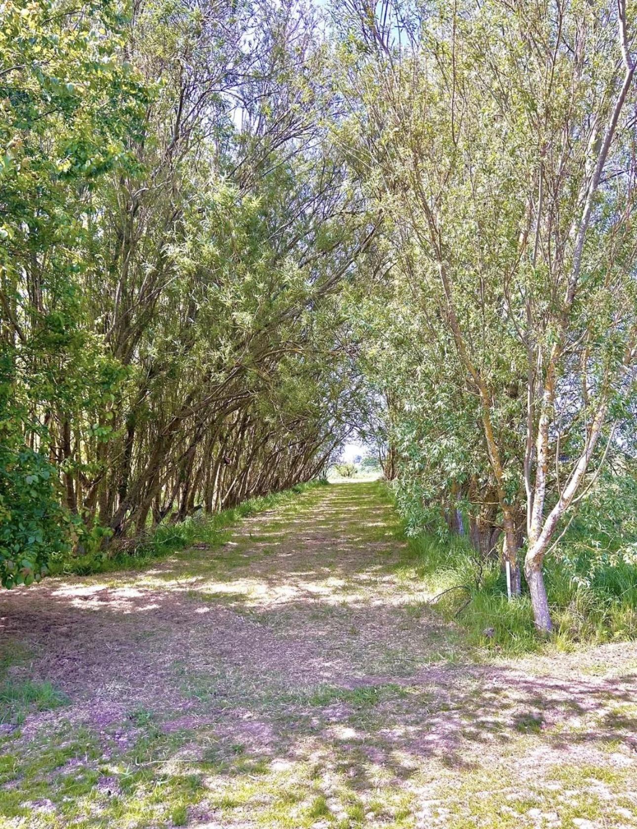בוסטון Lakeside Fishing Retreats חדר תמונה